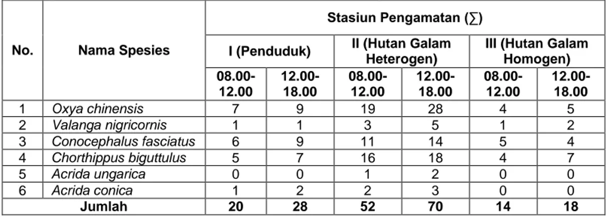 Tabel  2.  Spesies  belalang  yang  terdapat  di Kawasan  Hutan  Galam  desa  Tabing  Rimbah Kecamatan Mandastana Kabupaten Barito Kuala