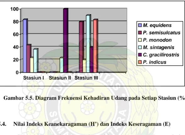 Gambar 5.5. Diagram Frekuensi Kehadiran Udang pada Setiap Stasiun (%) 