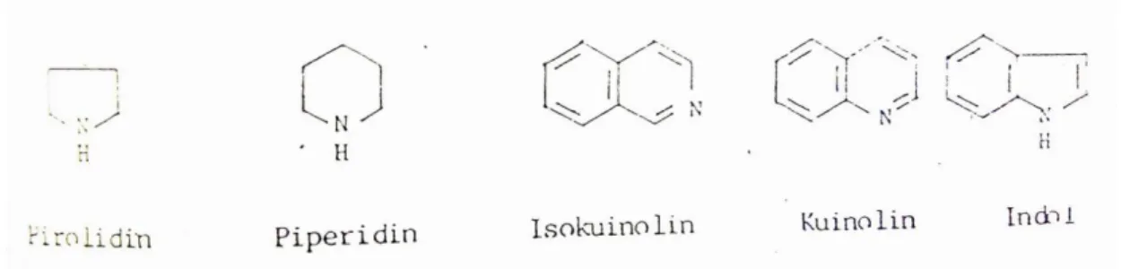 Gambar 7. Struktur Senyawa-senyawa Alkaloid  (Sumber: Achmad 1985) 