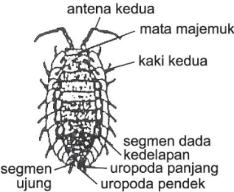Gambar 1- 7.  Bernakel