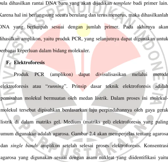 Gambar 2.3 Bagan Proses dalam mesin PCR (Paul, 2007:105) 