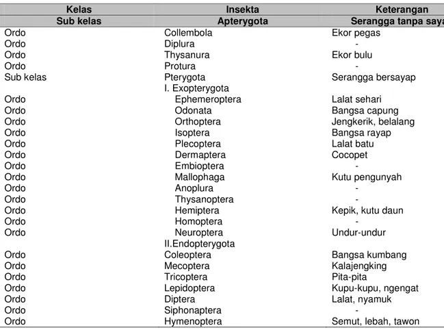 Tabel 1.  Klasifikasi serangga berdasarkan pada Lilies (1991) 