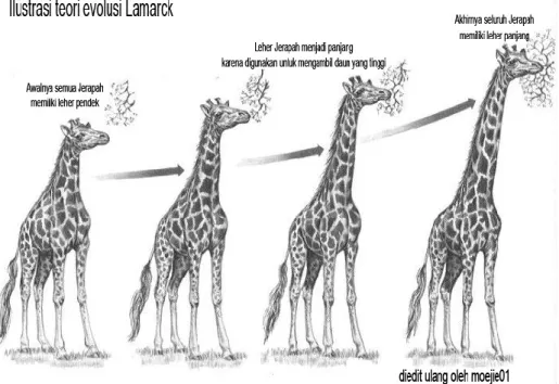 Gambar 1. Ilustrasi teori evolusi lamarck 