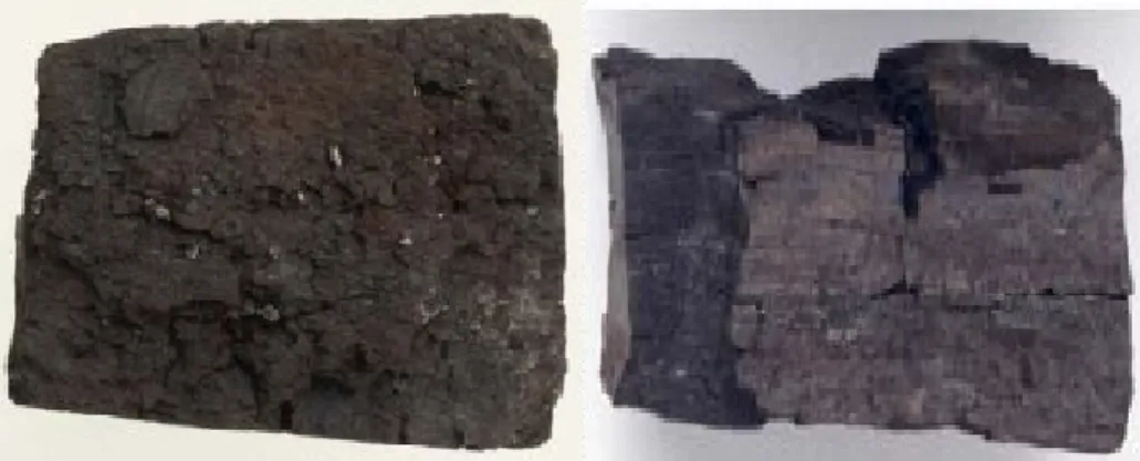 Gambar 3. Bentuk Batubara Lignit
