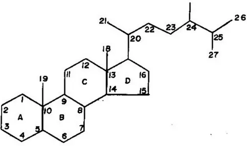 Gambar 4.2. Struktur kimia sterana dan penomorannya.