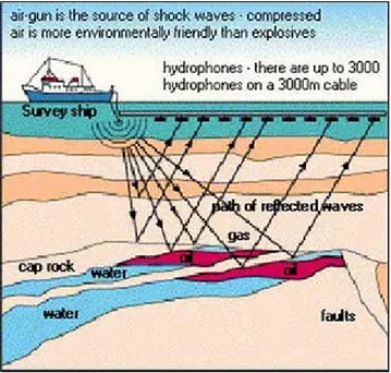 Gambar 1. Kegiatan Seismik Refleksi di Laut
