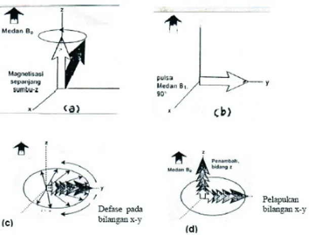 Gambar 10. Dasar pengukuran NMR. (a). Penjajaran proton. (b). Perebahan spin. (c). 