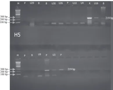 Gambar 2. Elektroforegram isolat berdasarkan gen N1. M: marker. K: Kontrol (+). Kode  U3, U4, U9, U10, U16, U26, U29, U30: sampel positif N1