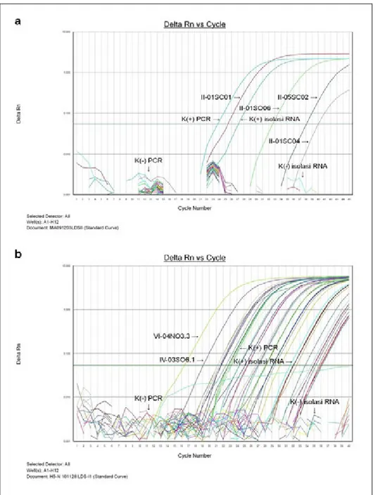 Gambar 6.  Grafik amplifikasi real time RT-PCR (a) matriks sampel bulan kedua  dan (b) subtipe H5 berbagai bulan pengambilan sampel