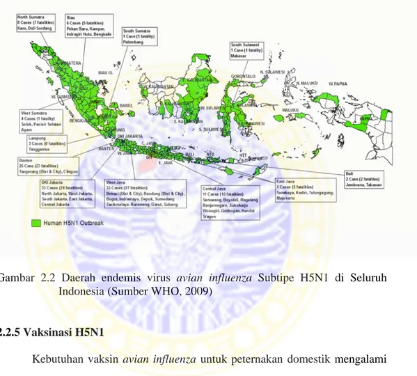 Gambar  2.2 Daerah  endemis  virus  avian influenza Subtipe  H5N1  di  Seluruh  Indonesia (Sumber WHO, 2009)