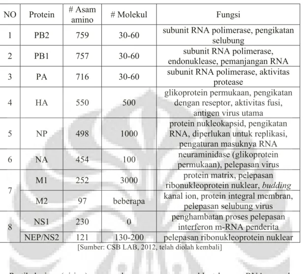 Tabel 2. Protein pada virus influenza 