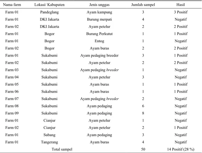 Tabel 3. Hasil deteksi antigen virus AI subtipe H5N1 dengan pewarnaan imunohistokimia pada organ unggas dari Propinsi  Banten, DKI Jakarta dan Jawa Barat (Oktober 2004-Pebruari 2005) 