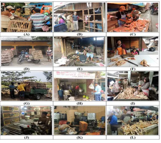 Gambar  1.  Dokumentasi pengambilan sampel lapangan pada pasar tradisional di Jawa Timur 2012 (the docu- docu-mentation of field sampling at the traditional markets of East Java in 2012)