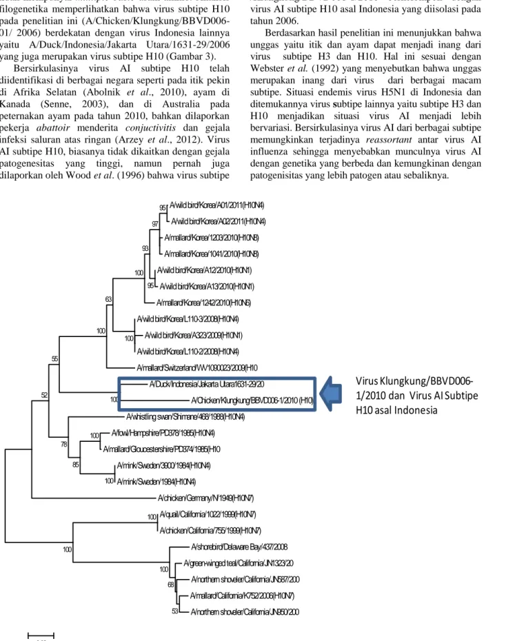 Gambar 3. Pohon filogenetika gen hemaglutinin virus  subtipe H10 nesia dalam kotak tertutup
