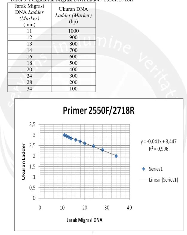 Gambar 19. Migrasi DNA Ladder Primer 2550F/2718R  Keterangan : Pengukuran jarak migrasi DNA Ladder dengan grafik linier 