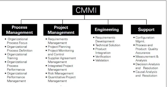 Gambar 2.6 Area Proses berdasarkan Kategori   (CMMI Product Team, 2010) 