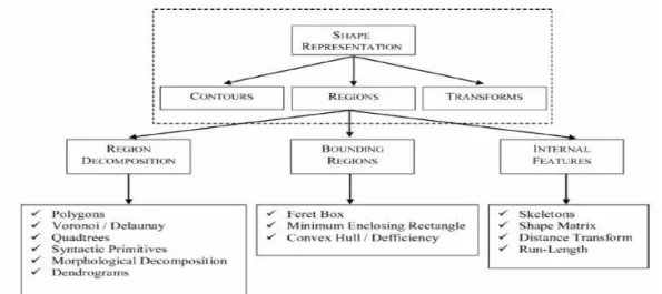 Gambar 4. Taksonomi Teknik Representasi Shape Menggunakan Region-Based [6]. 