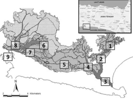 Gambar 1. Gambar laguna Segara Anakan (Ardli &amp; Wolff, 2008) dan stasiun pengamatan Figure 1