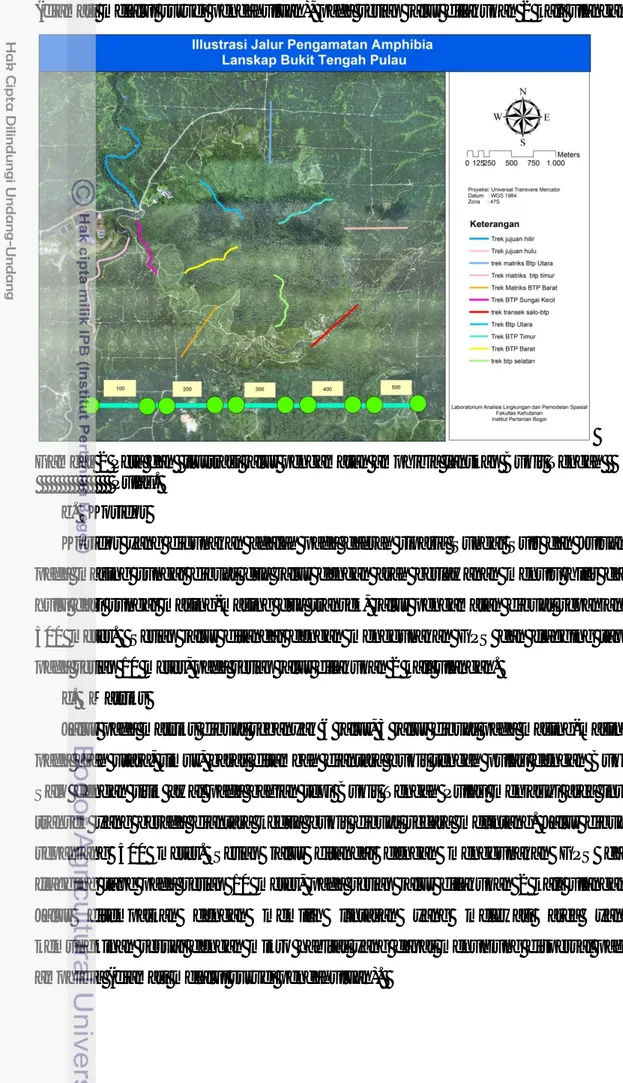 Gambar 2 Peta dan  ilustrasi jalur pengamatan amphibia lanskap Bukit Tengah                     Pulau