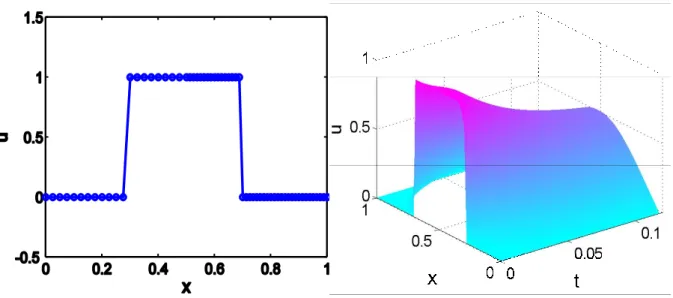 Gambar 4. (a). Kondisi awal    (b). Solusi numerik dengan FPM 