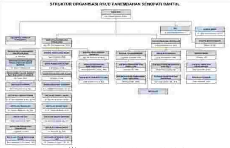 Gambar 2.  1 Struktur Organisasi RSUD Panembahan Senopati Bantul  Sumber : RSUD Panembahan Senopati Bantul Tahun 2016