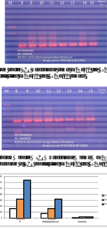 Gambar 2.  Elektroferogram  produk  PCR  menggunakan  primer  FP1VF328  dan  BP1VF816  (Electropherogram of  PCR product using FP1VF328 and BP1VF816 primers) 