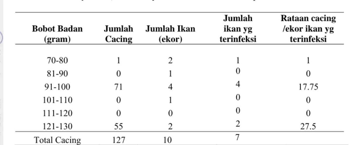 Tabel 4. Jumlah Cacing Pada Insang Ikan Bawal Air Tawar (Colossoma  macropomum) dari wilayah tambak Daerah Ciampea