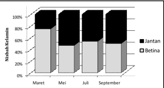 Gambar 4. Nisbah kelamin ikan golsom menurut bulan penelitian