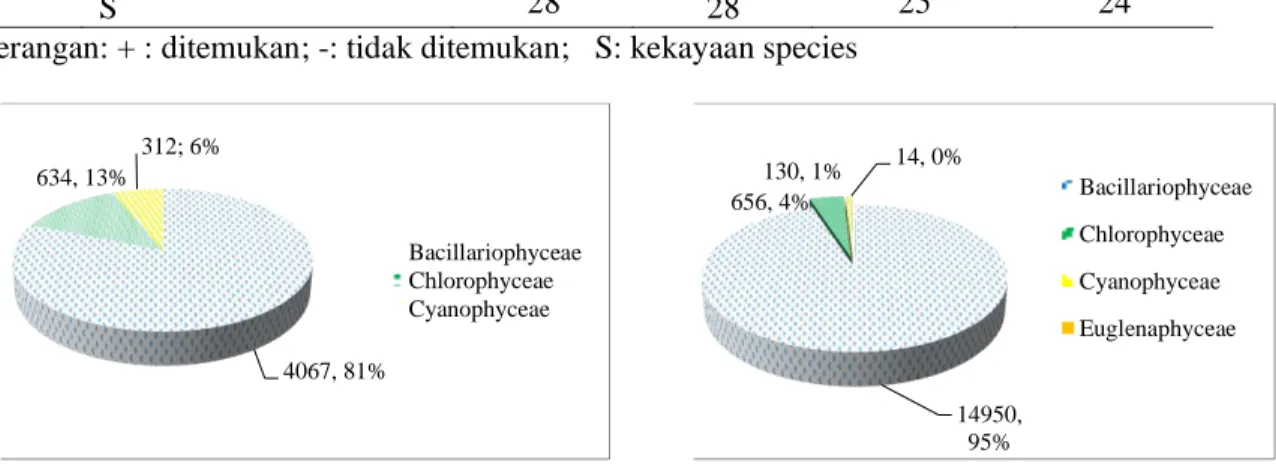 Tabel 1.Distribusi Fitoplankton pada Lokasi Penelitian 