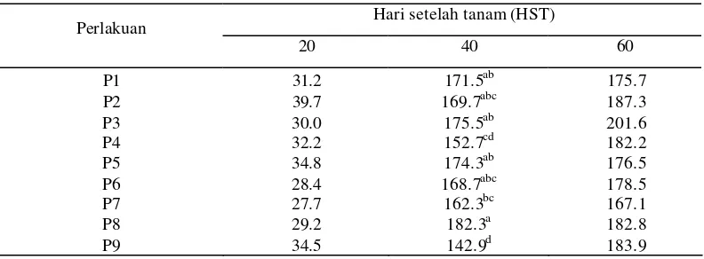 Tabel 5  Nilai Rata-Rata Jumlah Daun Kacang Tanah pada Berbagai Aplikasi Pupuk Organik dan Pupuk Anorganik 