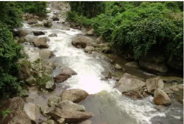 Gambar 3.1. Sungai Ponot 