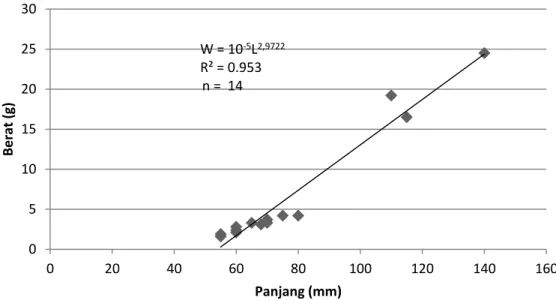 Gambar 4.4. Hubungan Panjang Berat Ikan Batak (Neolissochilus sumatranus)                pada Stasiun 4 