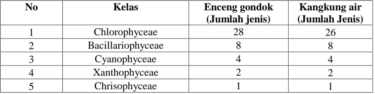 Tabel 1. Jenis Perifiton pada Enceng Gondok dan Kangkung Air yang Ditemukan  di Danau Rengas Desa Buluh Cina Selama Penelitian 