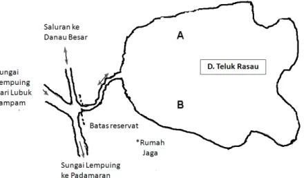 Gambar 1. Sketsa lokasi pengambilan contoh di Teluk Rasau, Ogan Komering Ilir, Sumatera Selatan.