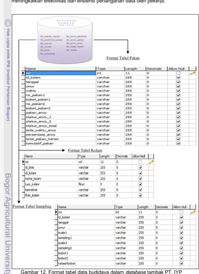 Gambar 12. Format tabel data budidaya dalam database tambak PT. IYP 