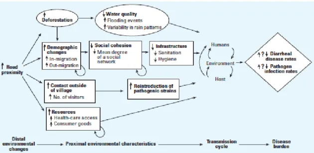 Gambar  1.9  memberikan  arti  bahwa  perubahan  lingkungan  akan  mempengaruhi  karakteristik  lingkungan  sehingga  mempengaruhi siklus transmisi dari penyakit