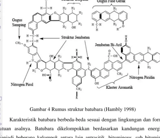 Gambar 4 Rumus struktur batubara (Hambly 1998) 