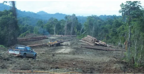Gambar 2: Kegiatan penebangan kayu di pinggir jalan poros Long Ikis menuju  Dusun Muluy, Kabuapten Paser, foto: M