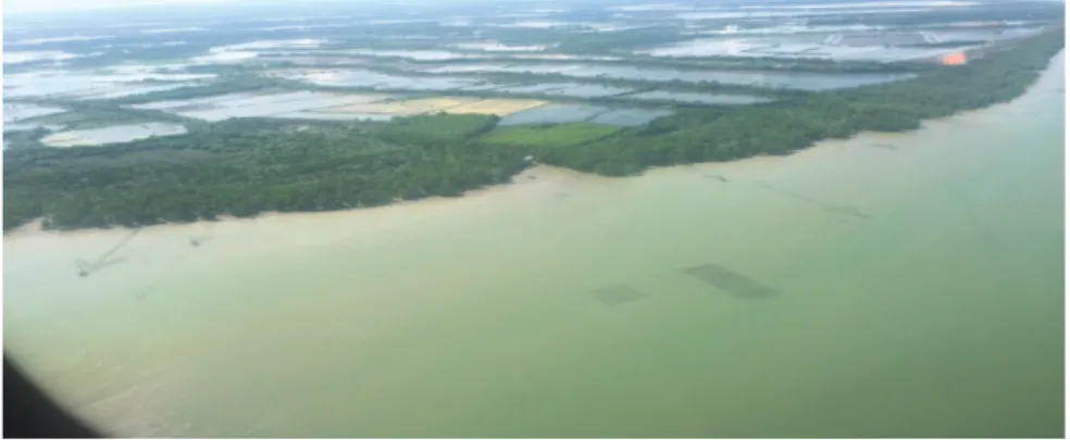 Gambar 4: Penggunaan area manggrove di Pesisir Maros-Sulawesi Selatan, foto: 