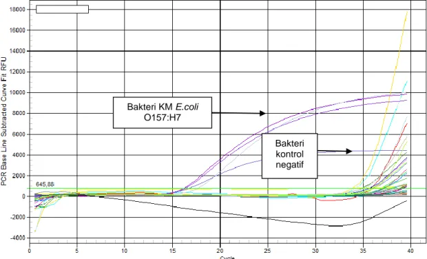 Gambar 2. Kurva amplifikasi spesifisitas primer Stx 