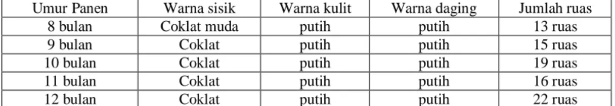 Tabel 1.  Hasil pengamatan sifat fisik rimpang garut pada berbagai umur panen 