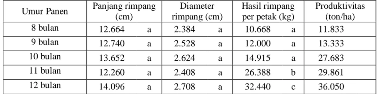 Tabel 2. Panjang Dan Diameter Rimpang Garut Pada Berbagai Umur Panen 