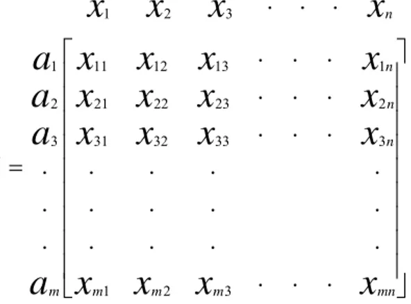 Gambar 2.1 Matriks Keputusan X 