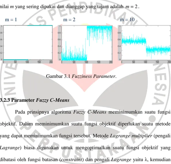 Gambar 3.1 Fuzziness Parameter. 