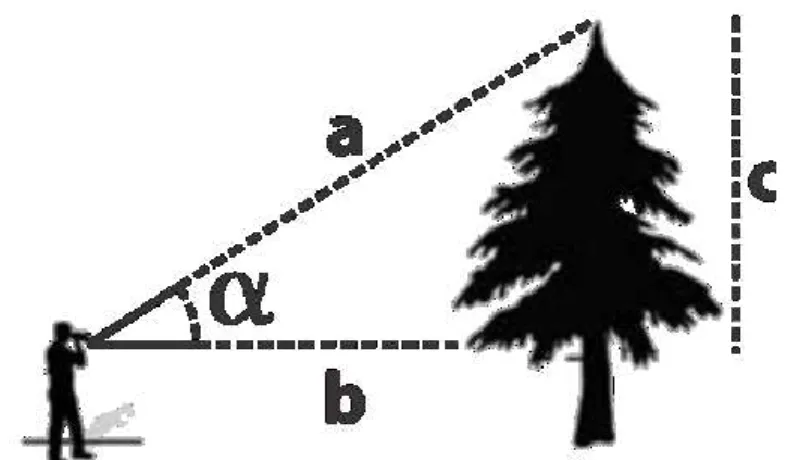 Gambar 2.  Metode Pengukuran Jarak Dan Tinggi Pohon 