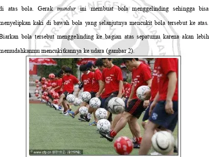 Gambar�2.1Mengelindingkan�bola�di�atas�telapak�kaki.��