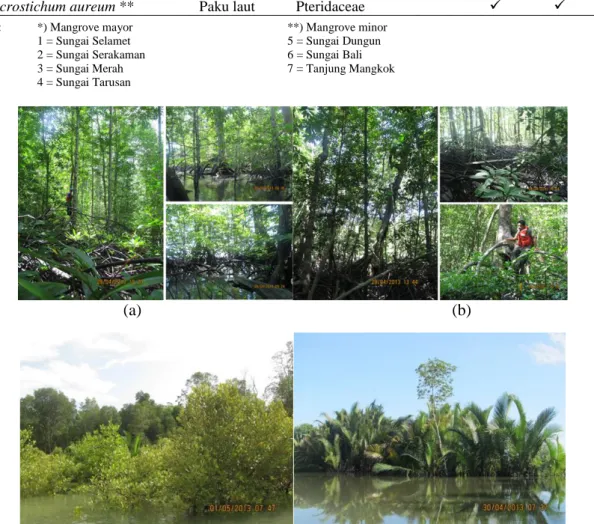 Gambar 4  Hutan mangrove dengan tipe komunitas mangrove: (a) bakau, (b) bakau-lenggadai, (c) bakau-perepat,  dan (d) nipah di Pulau Sebuku, Kalimantan Selatan