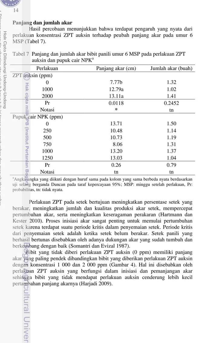 Tabel 7  Panjang dan jumlah akar bibit panili umur 6 MSP pada perlakuan ZPT  auksin dan pupuk cair NPK a   