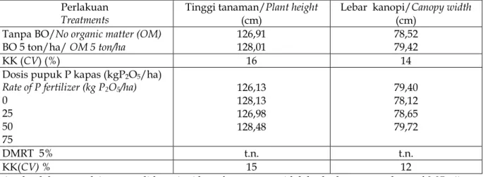 Tabel 4. Pengaruh pemberian bahan organik dan dosis pupuk P terhadap tinggi tanaman               dan lebar kanopi kapas pada umur 105 hst
