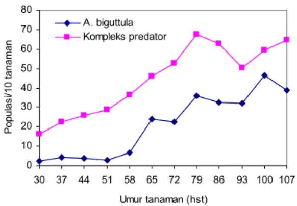 Gambar 1.   Perkembangan populasi A. biguttula dan predators pada tiga  varietas kapas dengan pola tanam monokultur dan  tumpang-sari dengan kedelai 